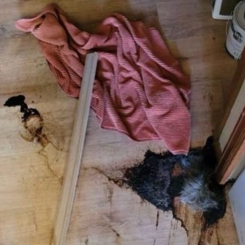 Before: a biohazard scene in need of professional cleanup
