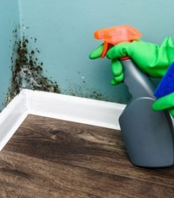 Mold cleanup underway at a Boulder-area home