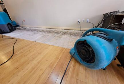 Water Damage Cleanup After